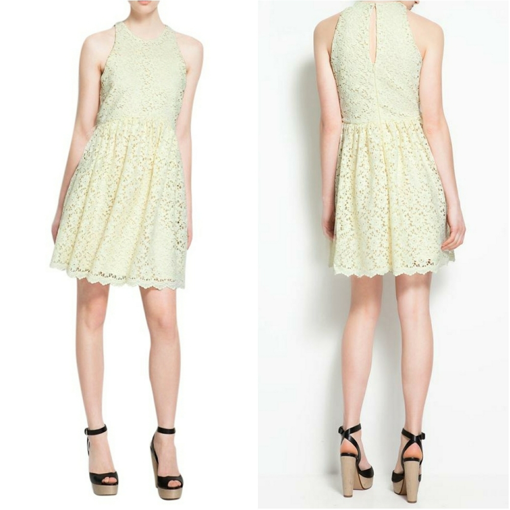 ZARA Guipure Lace Fit & Flare Spring Dress Medium